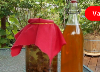 სიახლძარღვების გასაწმენდად მართლაც ღირს ძმარში დაალბოთ ქიშმიში – განმაცვიფრებელი სიახლე ყველასთვის!