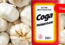 რა აღარ ვცადე, მაგრამ ჩემს ფილტვებს სოდა და ნიორი თუ უშველიდა, ვერც ვიფიქრებდი. მინდა, თქვენც გაგიზიაროთ ეს საოცარი საშუალება.