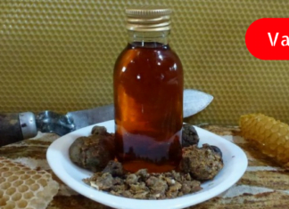 ამით ყველას გადავარჩენ – ყველა სიკეთესთან ერთად დინდგელი იმუნიტეტის აღმდგენი ყოფილა