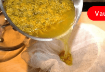 ყველაზე ძლიერი ბალახი, რომელიც ანადგურებს, ჰერპესს, სტრეპტოკოკს და მკურნალობს 50-ზე მეტ დაავადებას!!