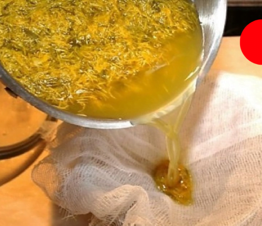 ყველაზე ძლიერი ბალახი, რომელიც ანადგურებს, ჰერპესს, სტრეპტოკოკს და მკურნალობს 50-ზე მეტ დაავადებას!!