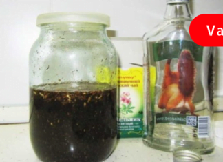 ეს საშუალებები წარმატებით მკურნალობს  C ჰეპატიტს და ღვიძლსს! სასაწაული შედეგი აქვთ!