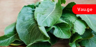 პირშუშხას ფოთლების სამკურნალო თვისებები – მისგან დამზადებული წამლი სასწაულებს ახდეს