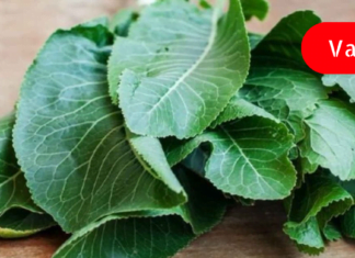 პირშუშხას ფოთლების სამკურნალო თვისებები – მისგან დამზადებული წამლი სასწაულებს ახდეს