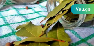 არავითარი ვარიკოზი, მეხსიერების ჩამორჩენა და თავის ტკივილი აღარ იარსებებს ამ ფოთლების წყალობით