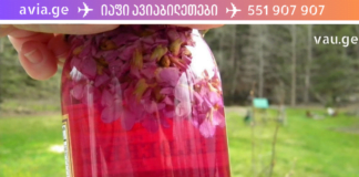 გსმენიათ იის ძმარის შესახებ? ამან მრავალი ადამიანის სიცოცხლე გადაარჩინა!!!