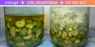 უებარი წამალი მწვანე კაკალისგან: აუმჯობესებს მხედველობას, აჯანსაღებს  სახსრებს და ფარისებრი ჯირკვალს