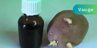 ერთ დღეს სამსახურში საუბარი დავიწყეთ სახსრების დაავადებებზე და ერთ-ერთმა კოლეგამ მიამბო, როგორ განიკურნა ამ მტაჯველი ტკივილისგან კარტოფილის თეთრი ყლორტებით!