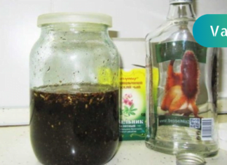 ჩემი დედამთილის მაგალითი ნათლად აჩვენებს, თუ როგორ შეიძლება სკლეროზის დაავადების 100%-ით პრევენცია ამ მცენარეებით!