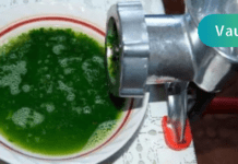 ნამდვილი მკურნალი, რომელიც ბუნების საჩუქარია – 14 მიზეზი რატომ უნდა გქონდეთ ეს მცენარე აუცილებლად სახლში