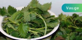 ჭინჭარი როგორც წამალი მკურნალობს დიაბეტს! აი ასე ამზადებდა ჩემი დედამთილი!