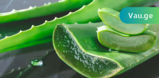 ამ მცენარემ უკვე გადაარჩინა უამრავი ადამიანის სიცოცხლე! ნახეთ, როგორ უნდა გამოიყენოთ სწორად რომ შედეგი მიიღოთ!