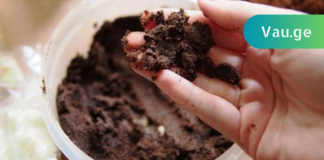 გააკეთეთ ეს 8 ხრიკი ყავის ნალექით და თქვენი ცხოვრება სამუდამოდ შეიცვლება