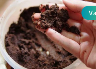 გააკეთეთ ეს 8 ხრიკი ყავის ნალექით და თქვენი ცხოვრება სამუდამოდ შეიცვლება