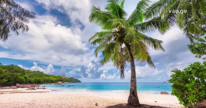 A sun-drenched coastal view with turquoise water and a sun hat, representing a perfect summer vacation mood.