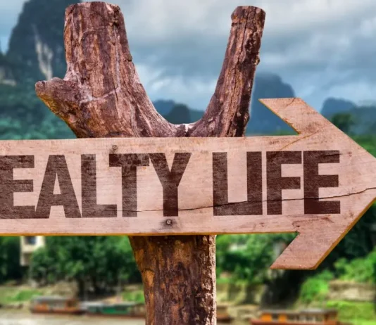 გადავიხდით თუ არა ზედმეტს საკუთარი წონის გამო: რას გვიმალავენ ავიაკომპანიები A wooden directional signpost with the text "HEALTHY LIFE" pointing right, set against a background of misty green mountains and a river.