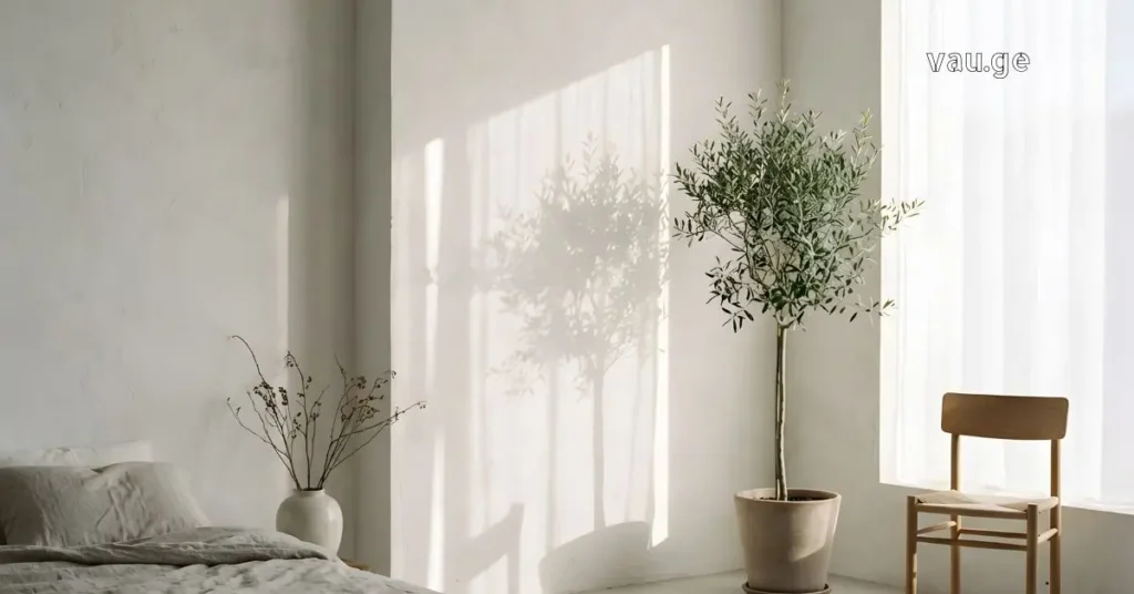 A clean and minimalist room with a plant and white walls