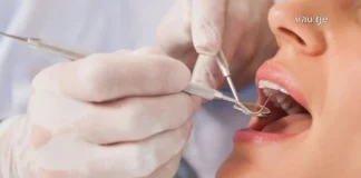 ღიმილი, როგორც ხელოვნება: თანამედროვე სტომატოლოგიის მიღწევები A professional dentist performing a dental examination on a patient using specialized tools.