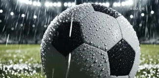 რა საერთო აქვთ ერთმანეთთან ამინდსა და სპორტს fexburti wvimashi