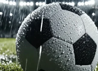 რა საერთო აქვთ ერთმანეთთან ამინდსა და სპორტს fexburti wvimashi